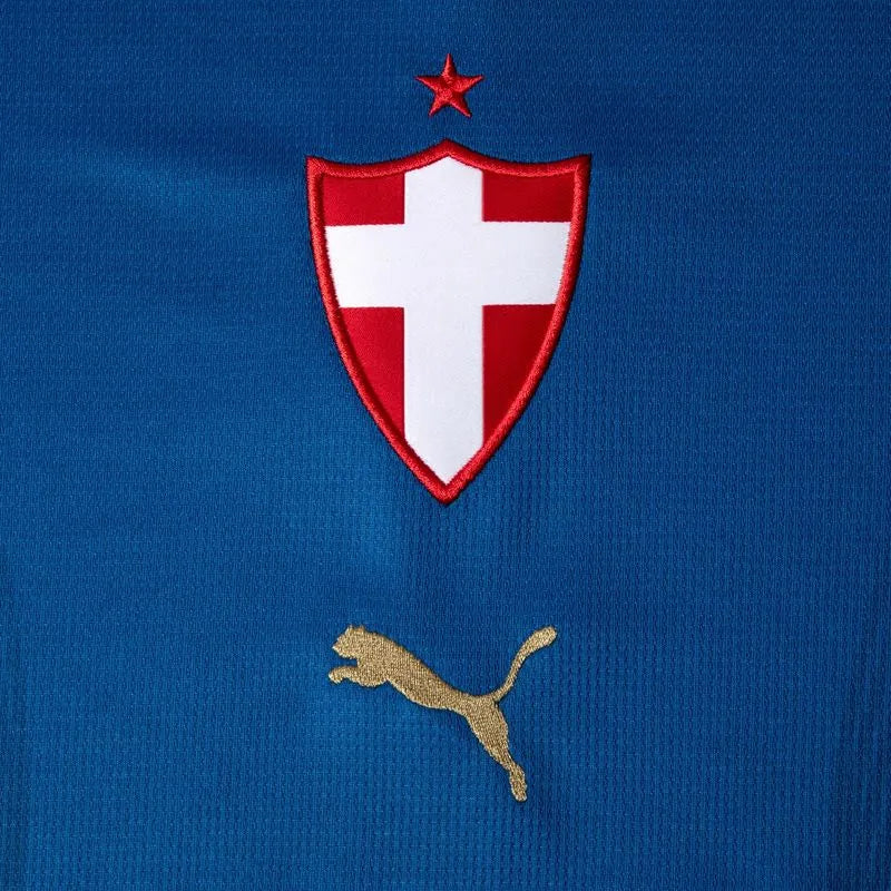 Camisa Palmeiras 3 2026/27 - Feminina